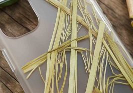 Biodegradable Plastics