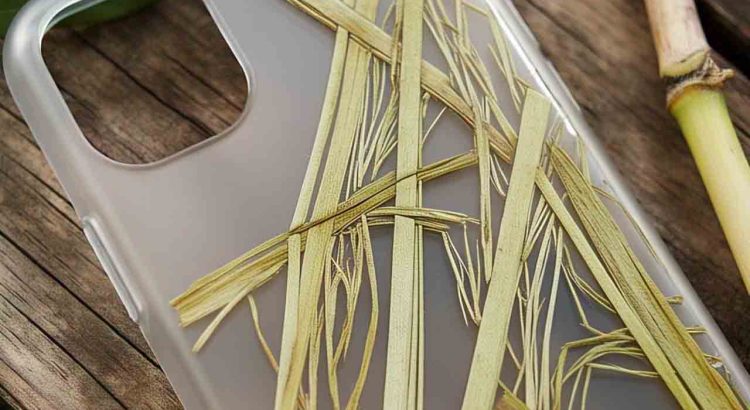 Biodegradable Plastics